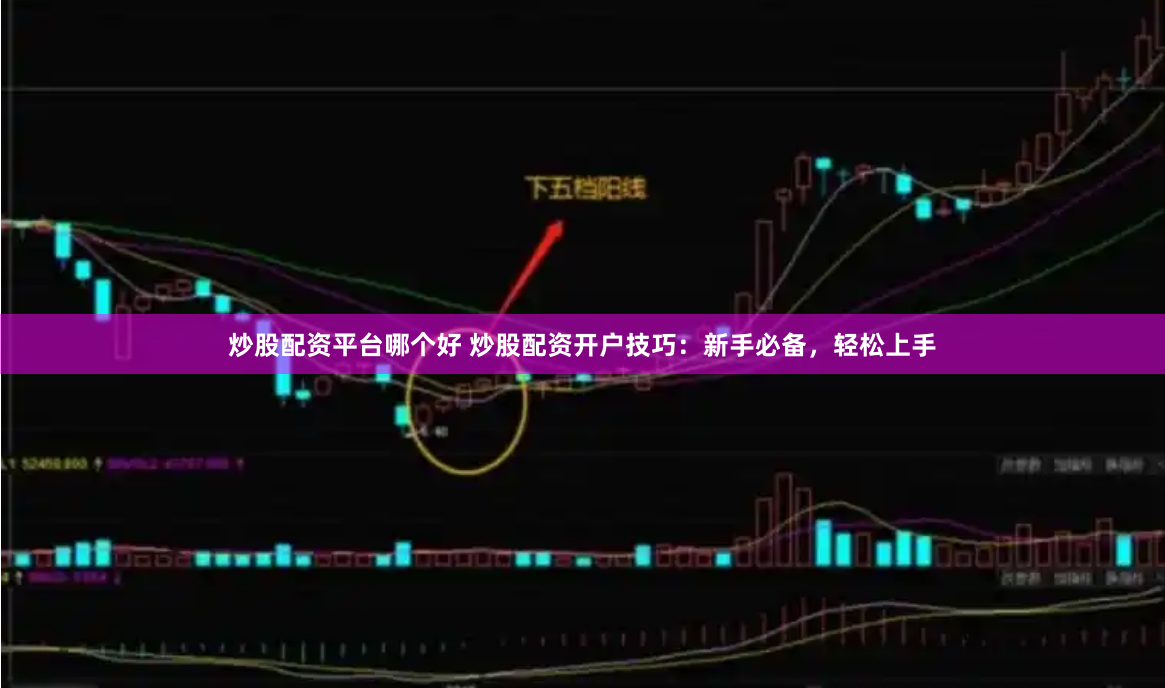 炒股配资平台哪个好 炒股配资开户技巧:新手必备,轻松上手