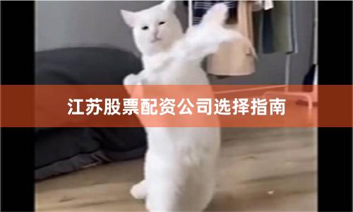 江苏股票配资公司选择指南