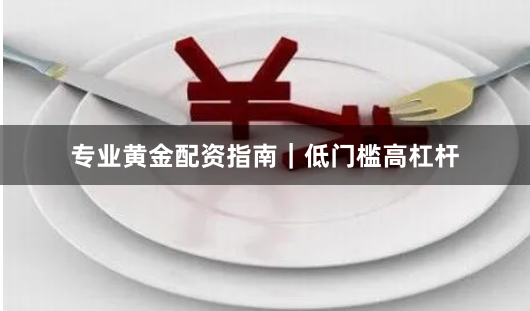 专业黄金配资指南|低门槛高杠杆